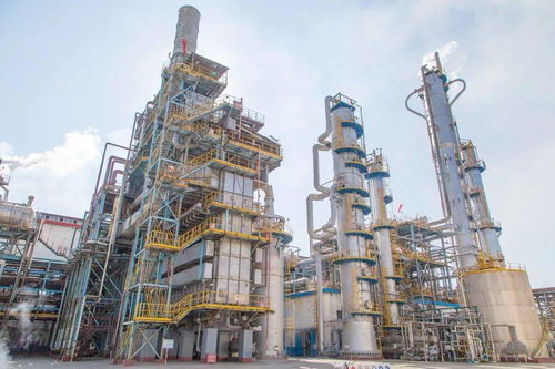 海藻酸尿素启动试验性生产 推动绿色农业科技新突破