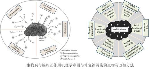 环资学院生物炭修复土壤重金属污染研究取得新进展