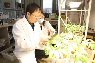 探秘昆明理工大学 走进云南省三七资源可持续利用重点实验室